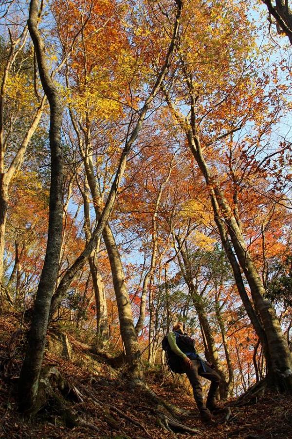 後山から下る途中の紅葉